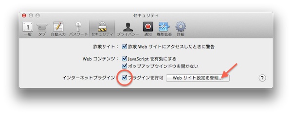 mac_safari_setting1